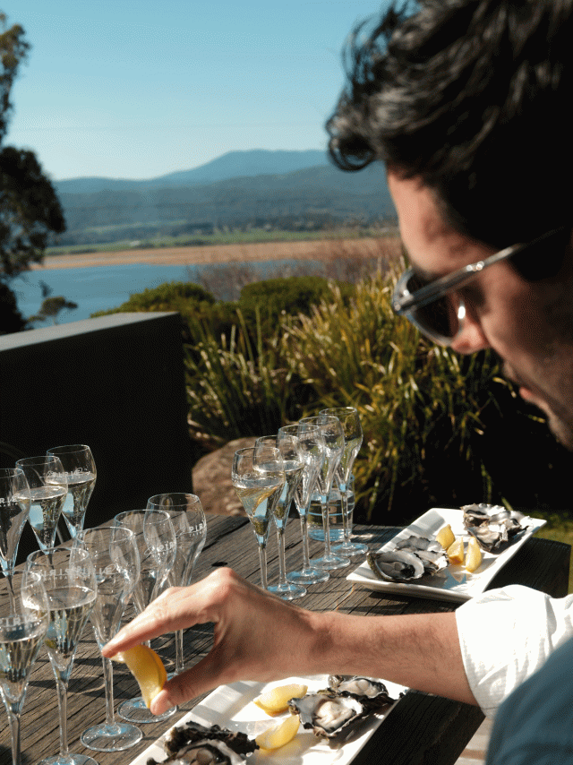 pirie sparkling wines