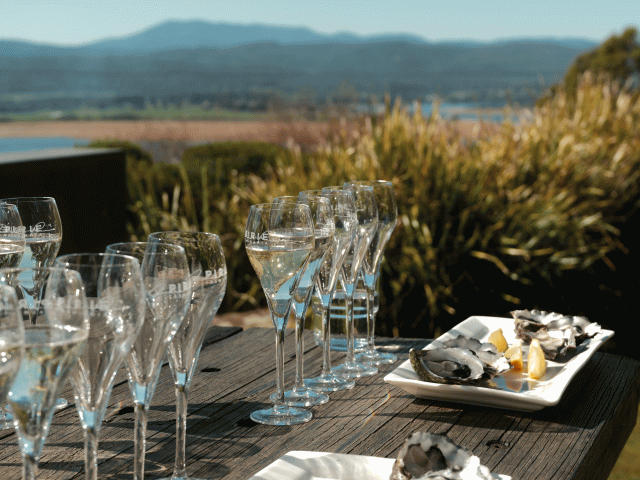 pirie oyster and sparkling