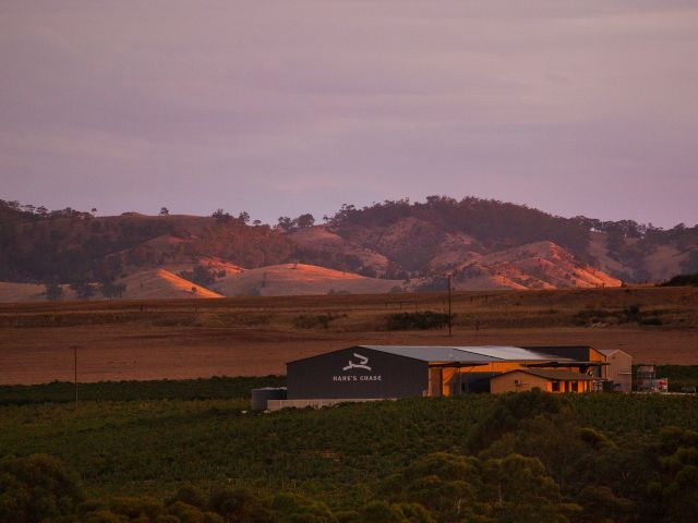 hare's chase winery at sunset