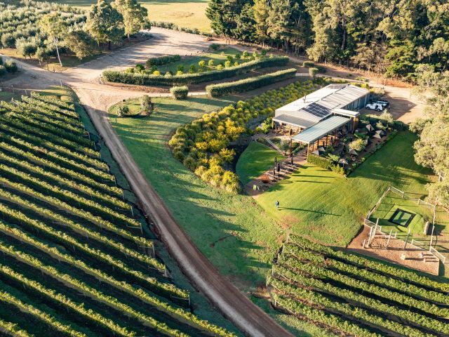 green olive winery at red hill on the mornington peninsula