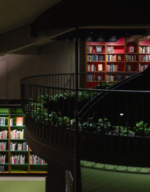 Why every book lover needs to visit Tassie’s UNESCO City of Literature