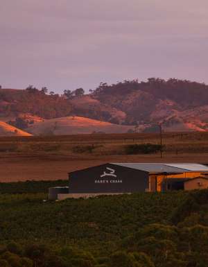 hare's chase winery at sunset