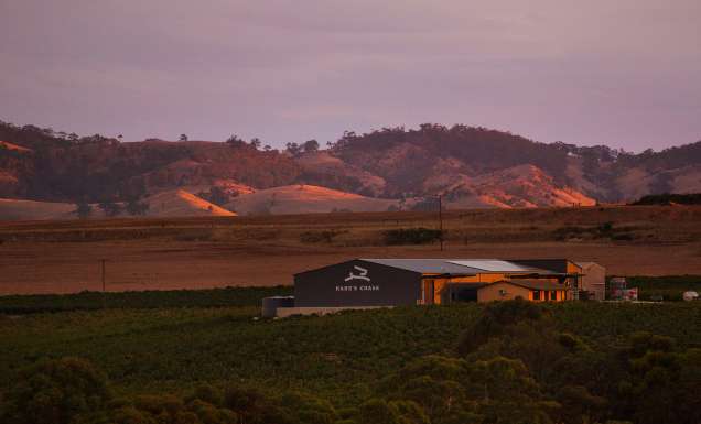 hare's chase winery at sunset