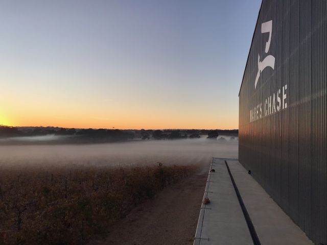 Hare's Chase winery on a misty morning in barossa valley