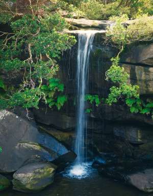 Waterfall along the Girrakool Loop Track, at the Brisbane Water National Park, on the Central Coast.