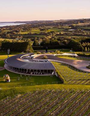Aerial view of Pt. Leo Estate overlooking rolling vineyards and the coastline on Victoria's Mornington Peninsula.