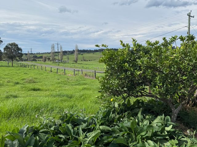 Milton hinterland on the South Coast of NSW