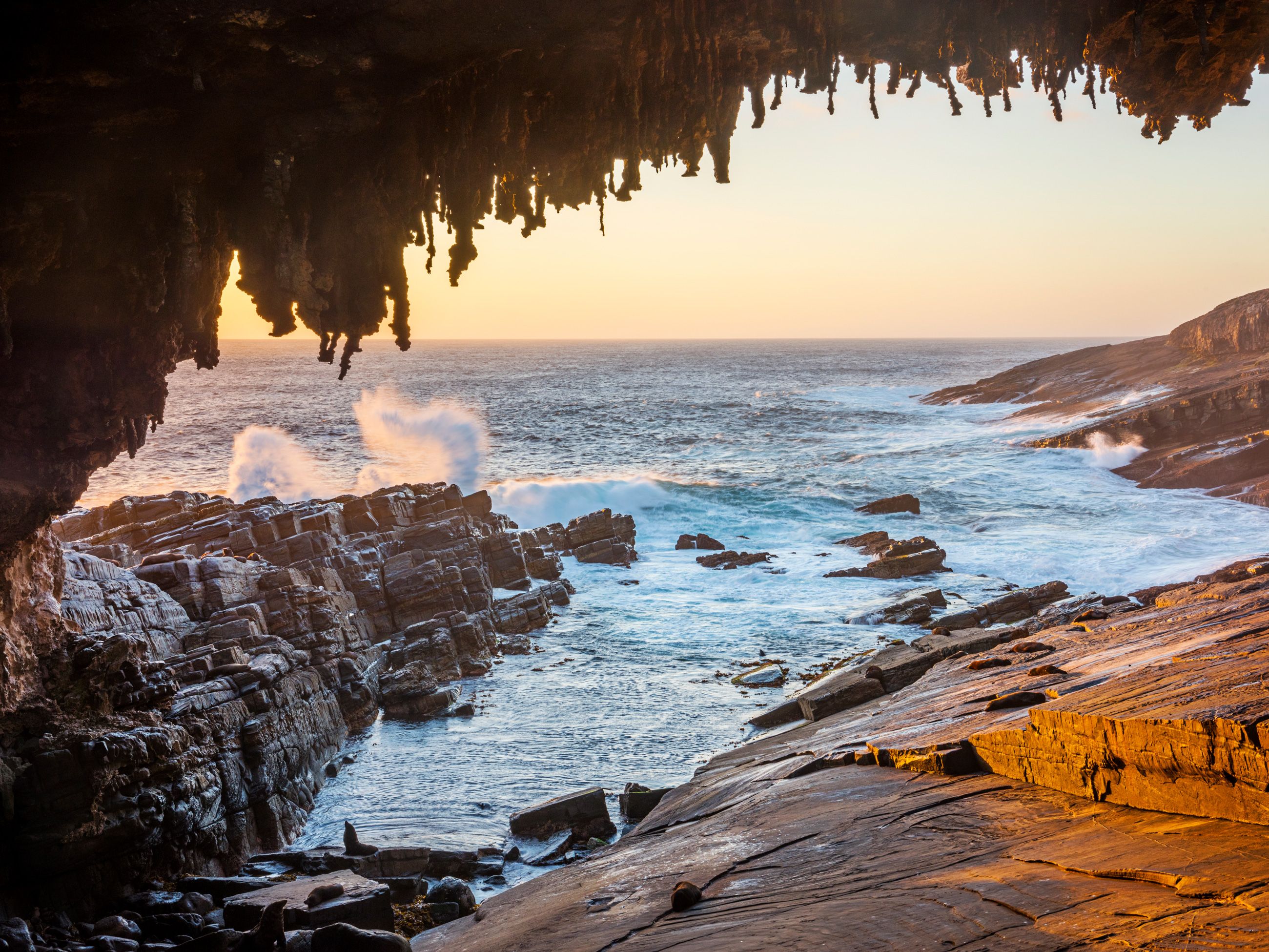Admirals Arch. Kangaroo Island