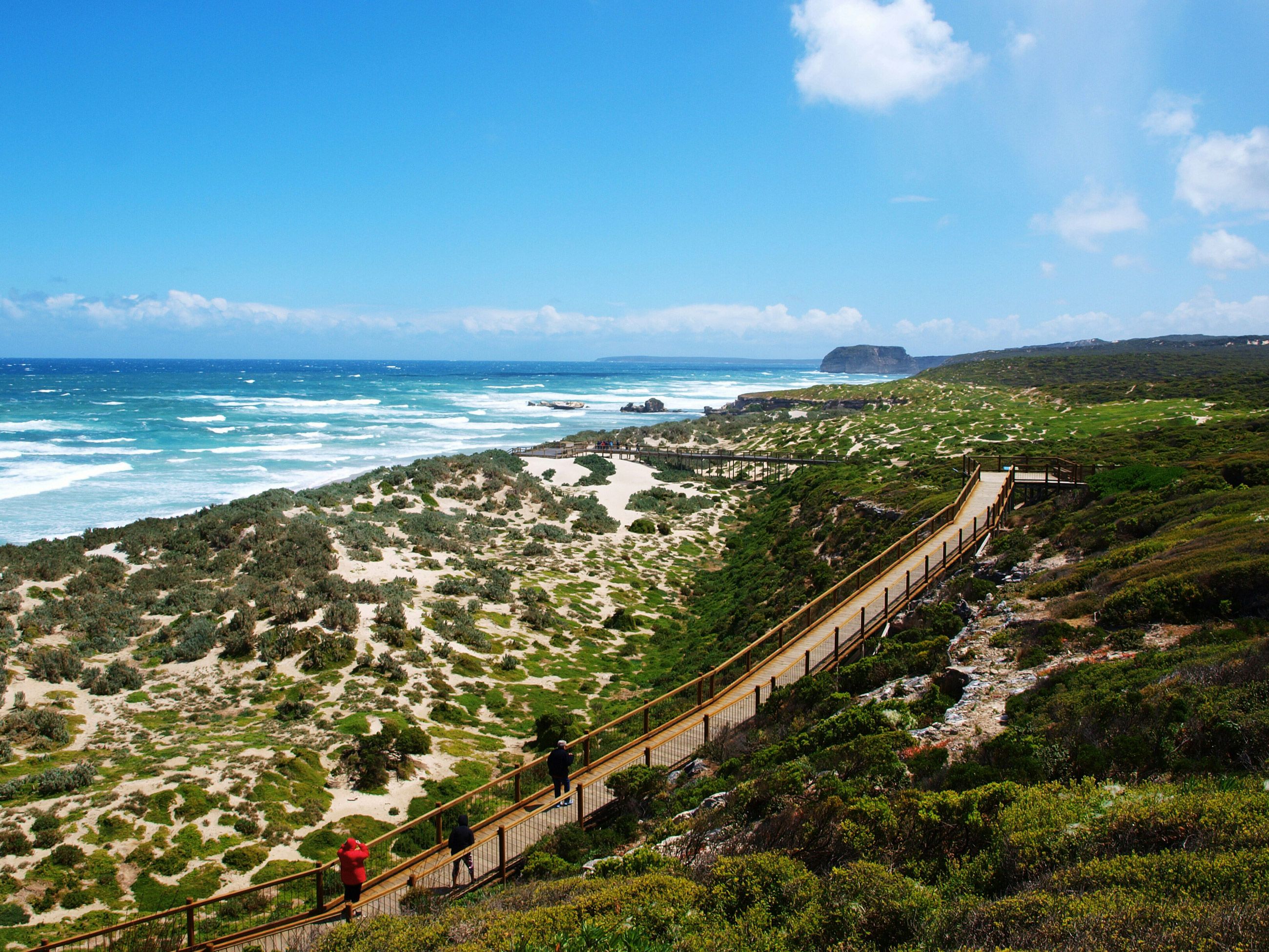 the dunes at Seal Bay Conservation Park
