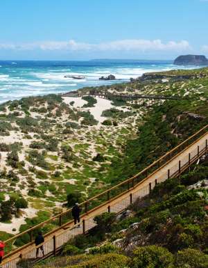 the dunes at Seal Bay Conservation Park