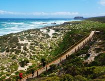 the dunes at Seal Bay Conservation Park