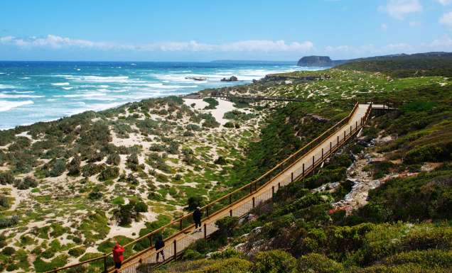 the dunes at Seal Bay Conservation Park