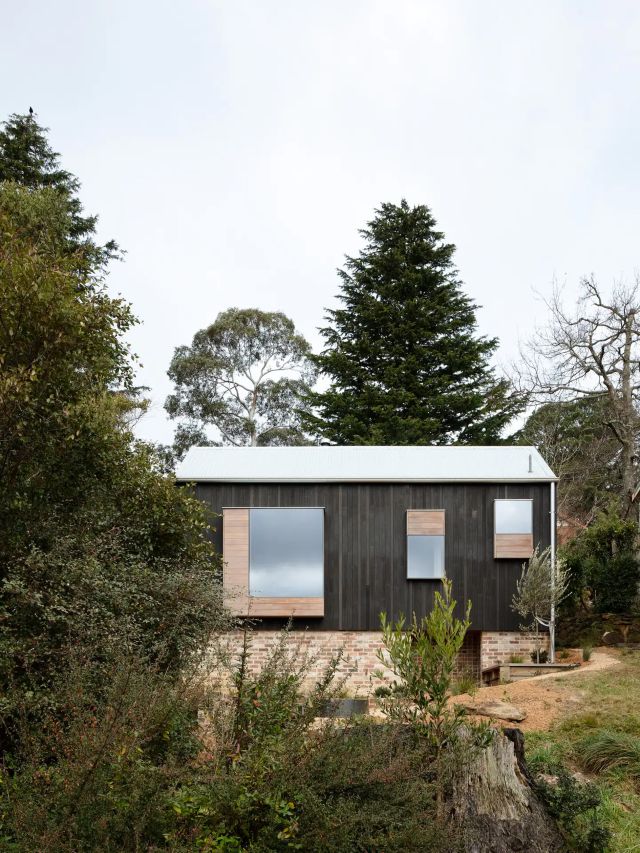 Little Black Cabin in Blackheath NSW