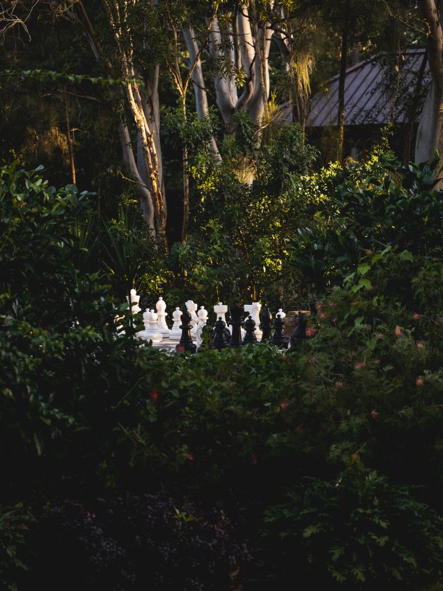 giant chess on Makepeace Island