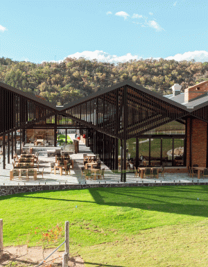 Meteroa Vineyard