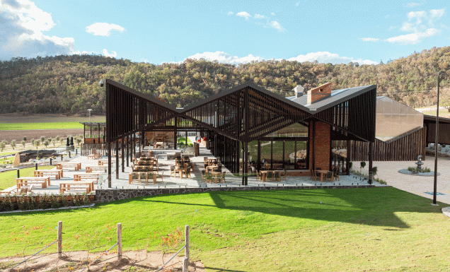 Meteroa Vineyard