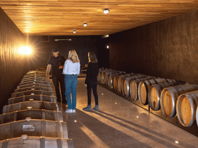 Meteroa Vineyard wine cave