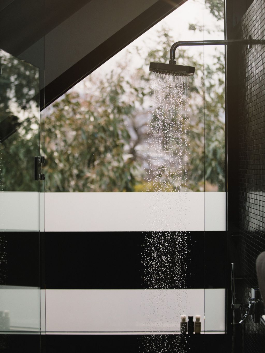 Mona pavilion shower