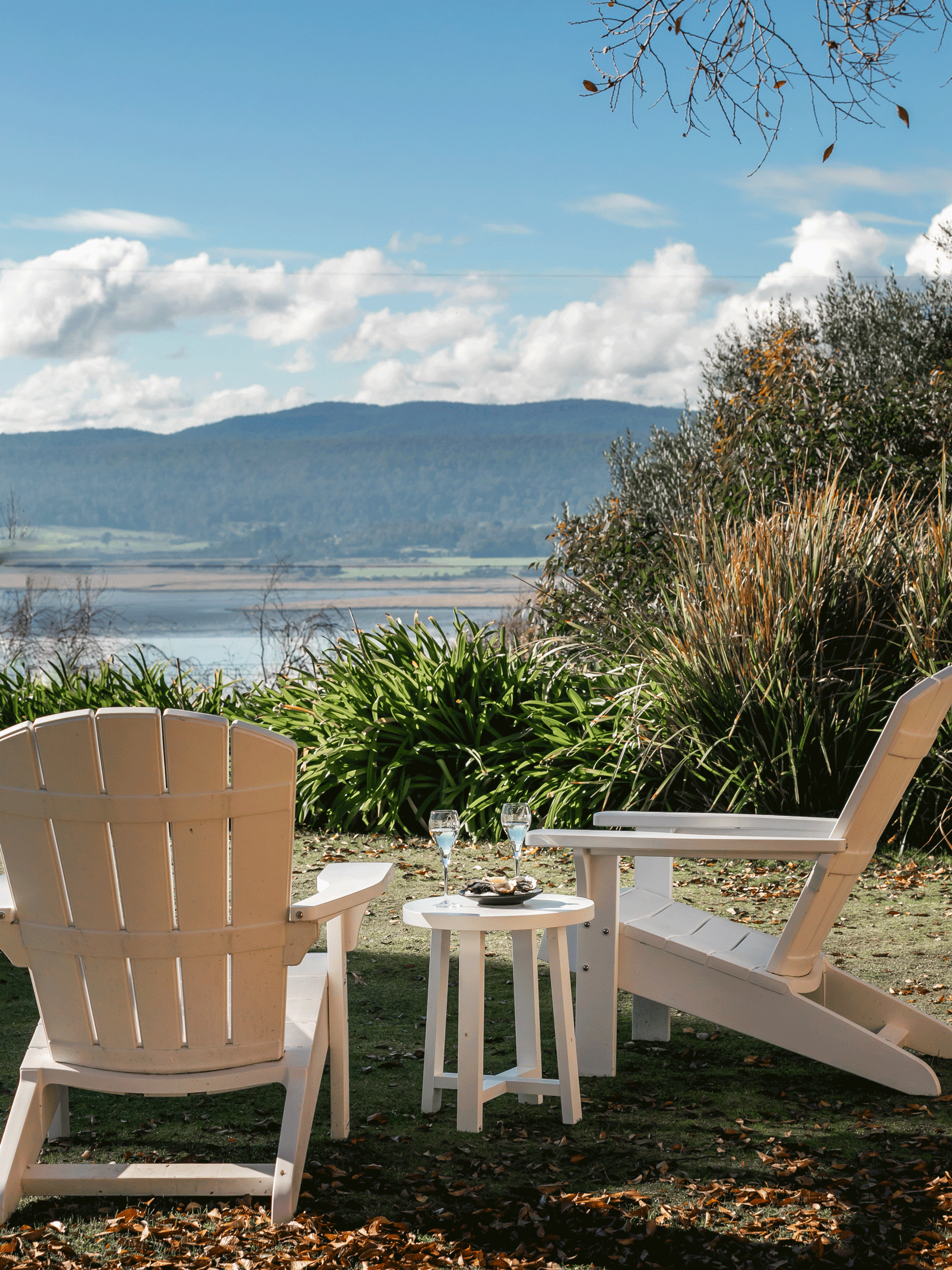 tamar ridge and pirie cellar door