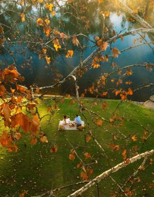 picnicers in Noreuil Park albury wodonga nature autumn