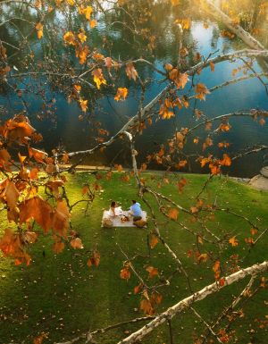 picnicers in Noreuil Park albury wodonga nature autumn