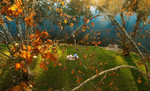 picnicers in Noreuil Park albury wodonga nature autumn