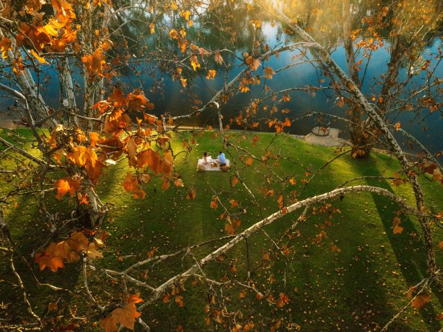 picnicers in Noreuil Park albury wodonga nature autumn