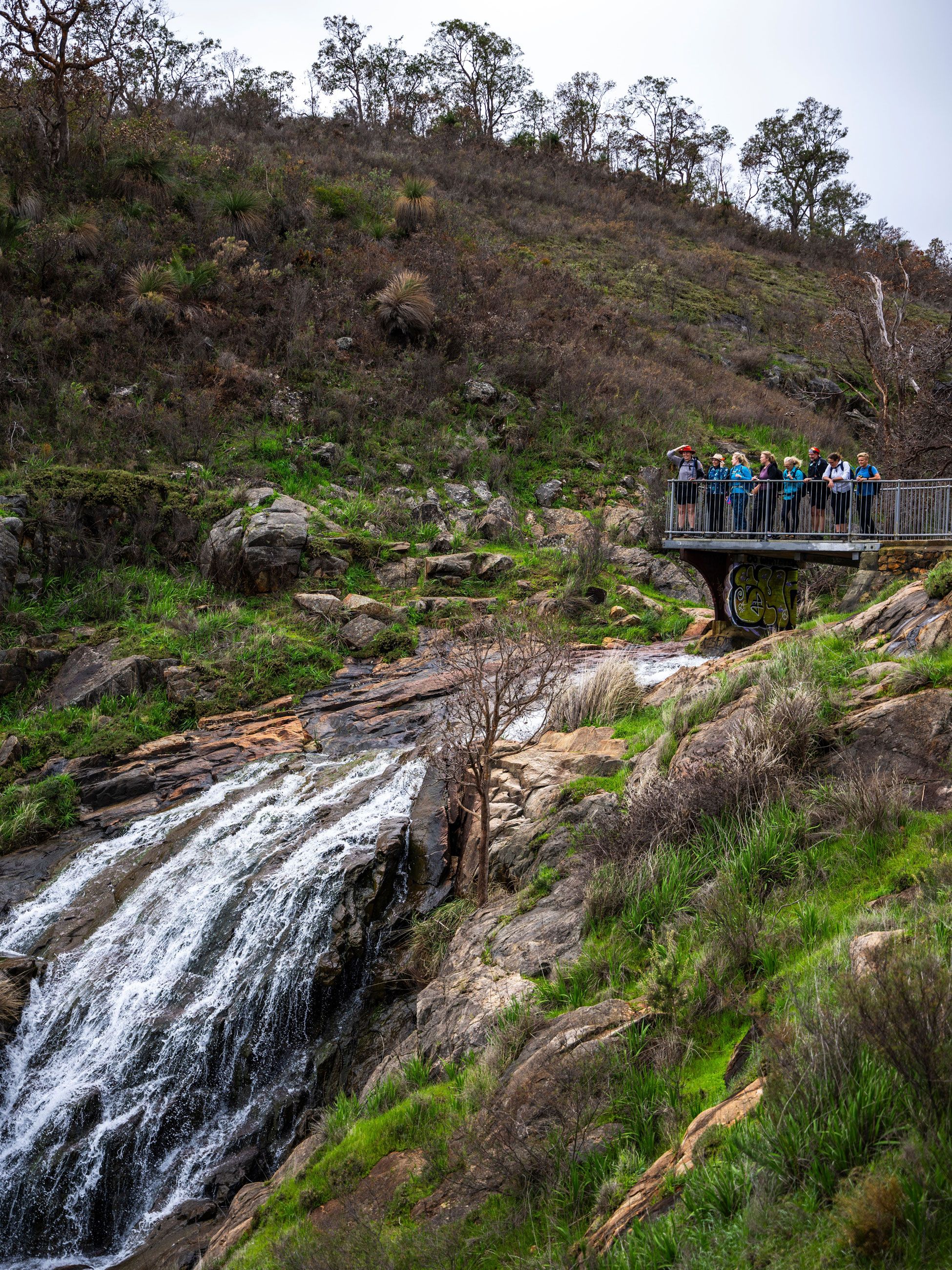Off the Beaten Track Perth Hills wildflower hike