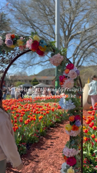 If spring had a postcard, it’d look like the Tulip Time Flower Festival
