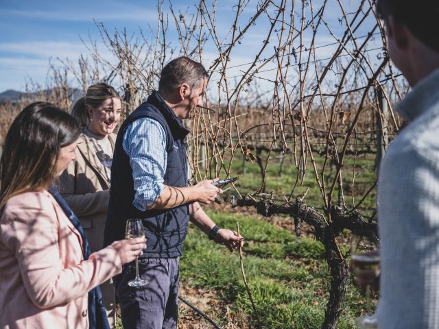 Visitors touring a vineyard alongside winemakers, learning about grape growing and the winemaking process.