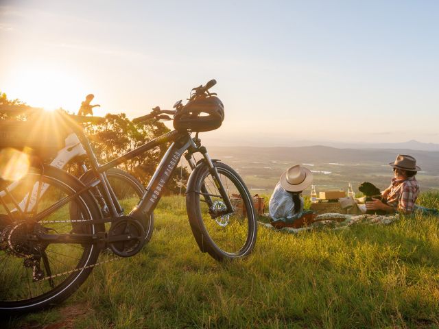 a Peddly Picnics e-bike