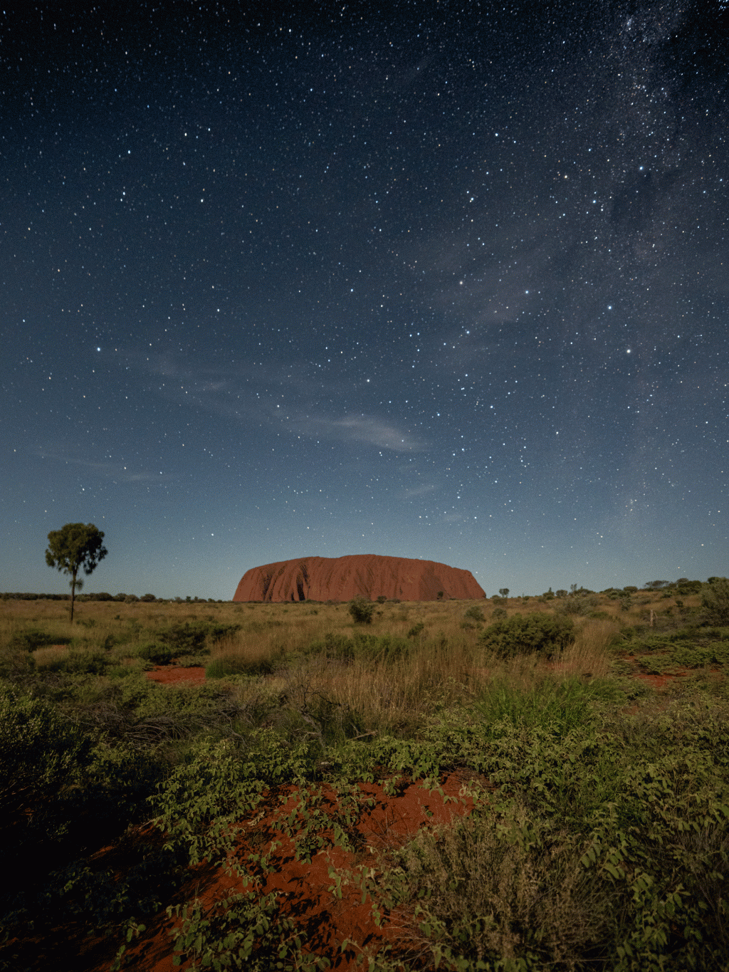 uluru starry sky