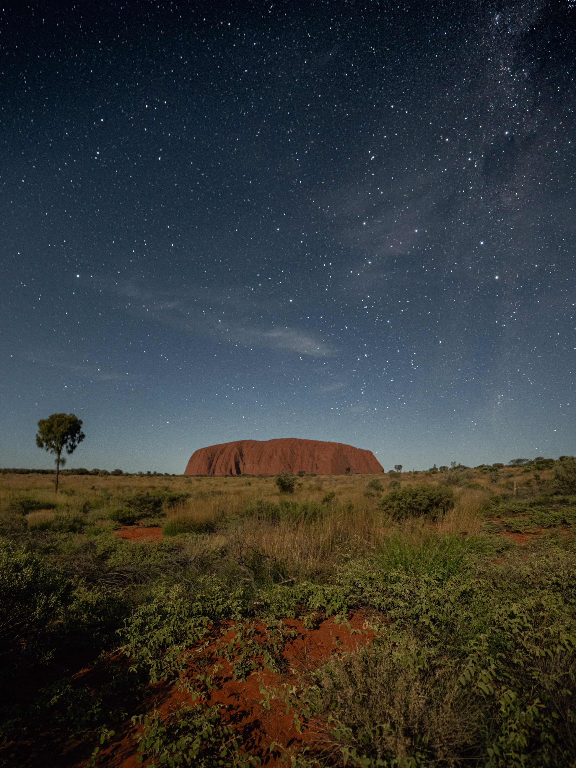 uluru starry sky