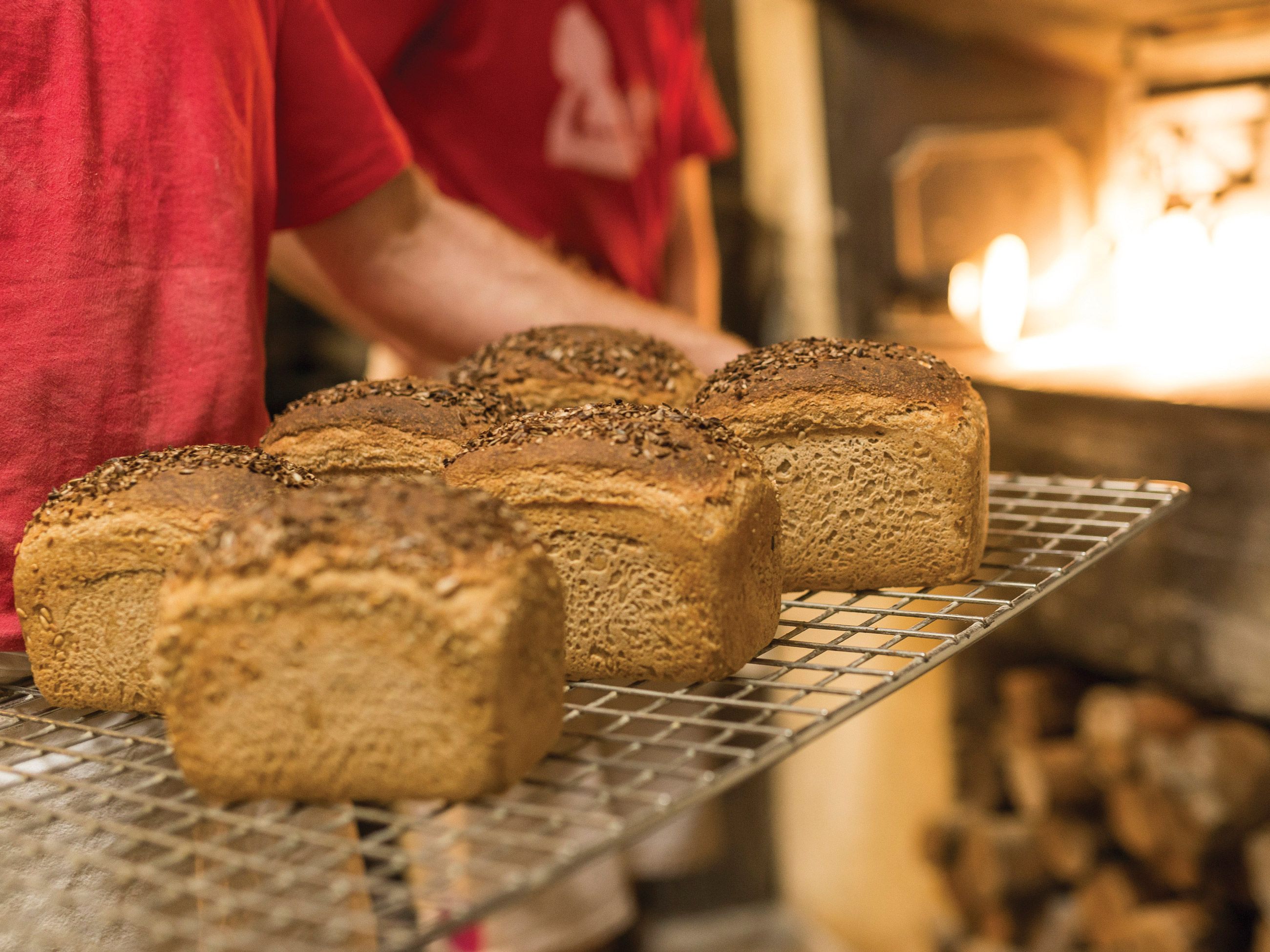 sourdough bread at Red Beard Bakery