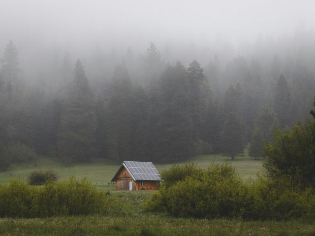 Small cabin in a misty forest