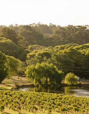 Ampersand estates