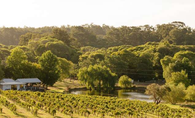 Ampersand estates