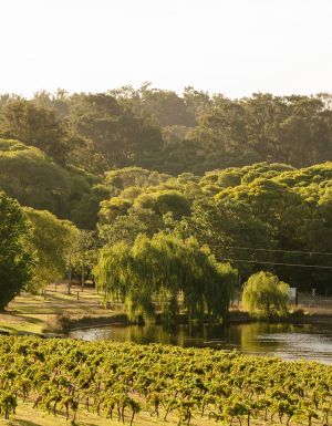 Ampersand estates
