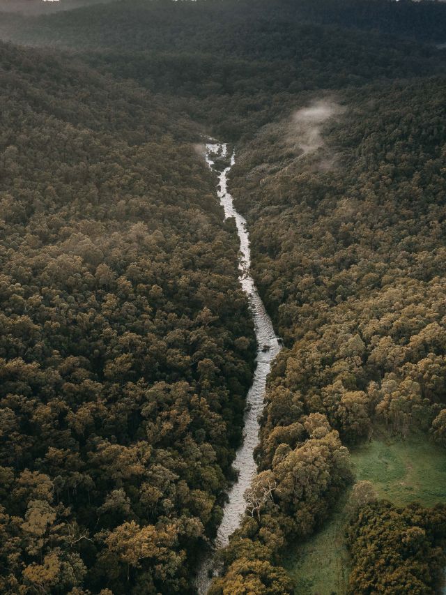 banks of Donnelly River