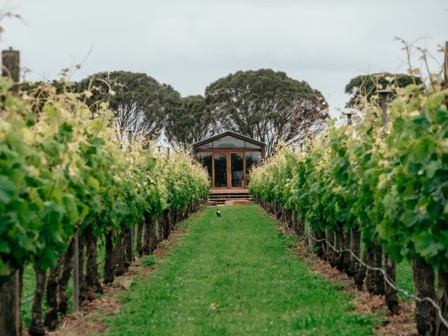 Basalt Retreat villa in the vines
