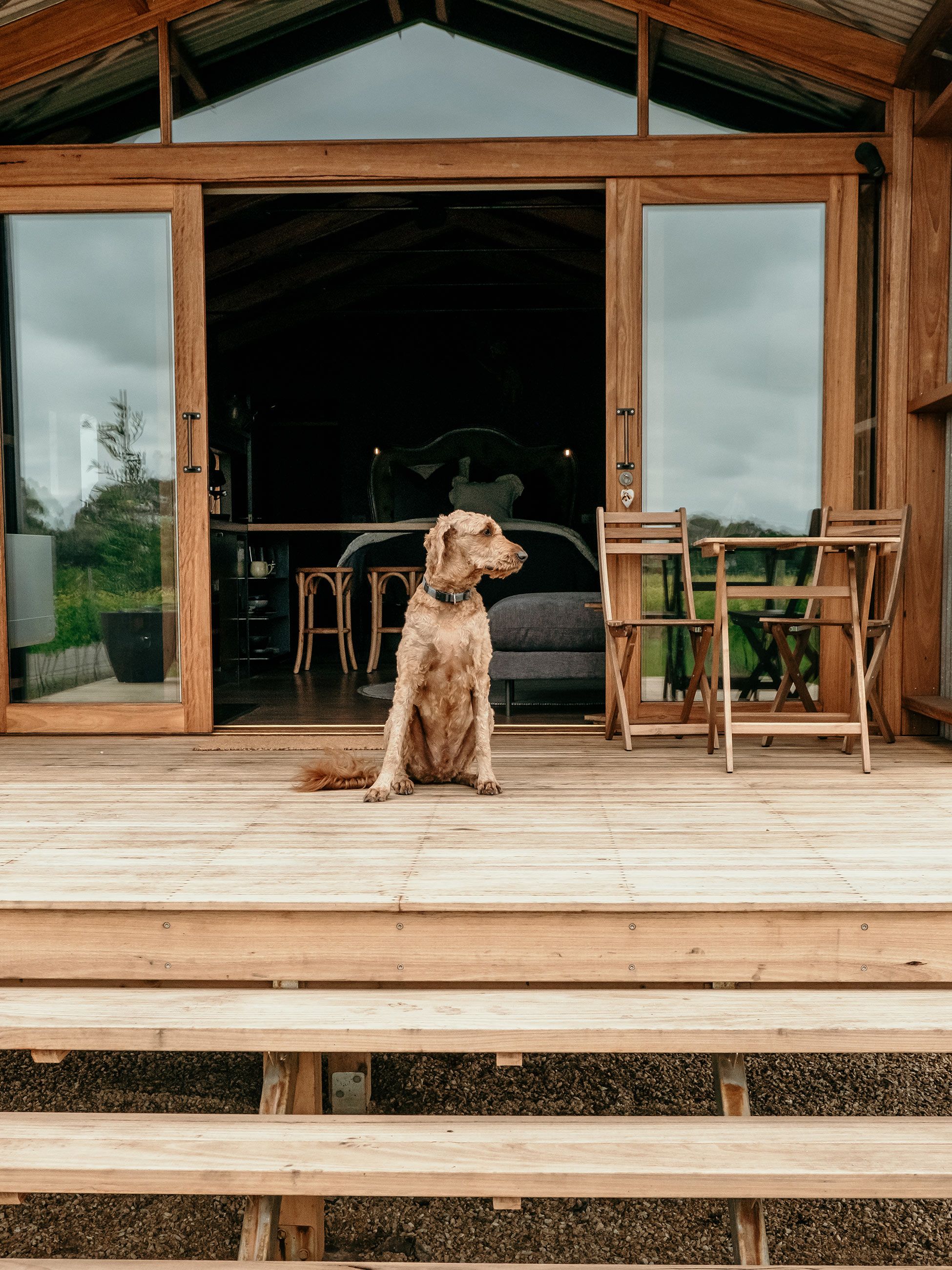 Basalt Retreat dog