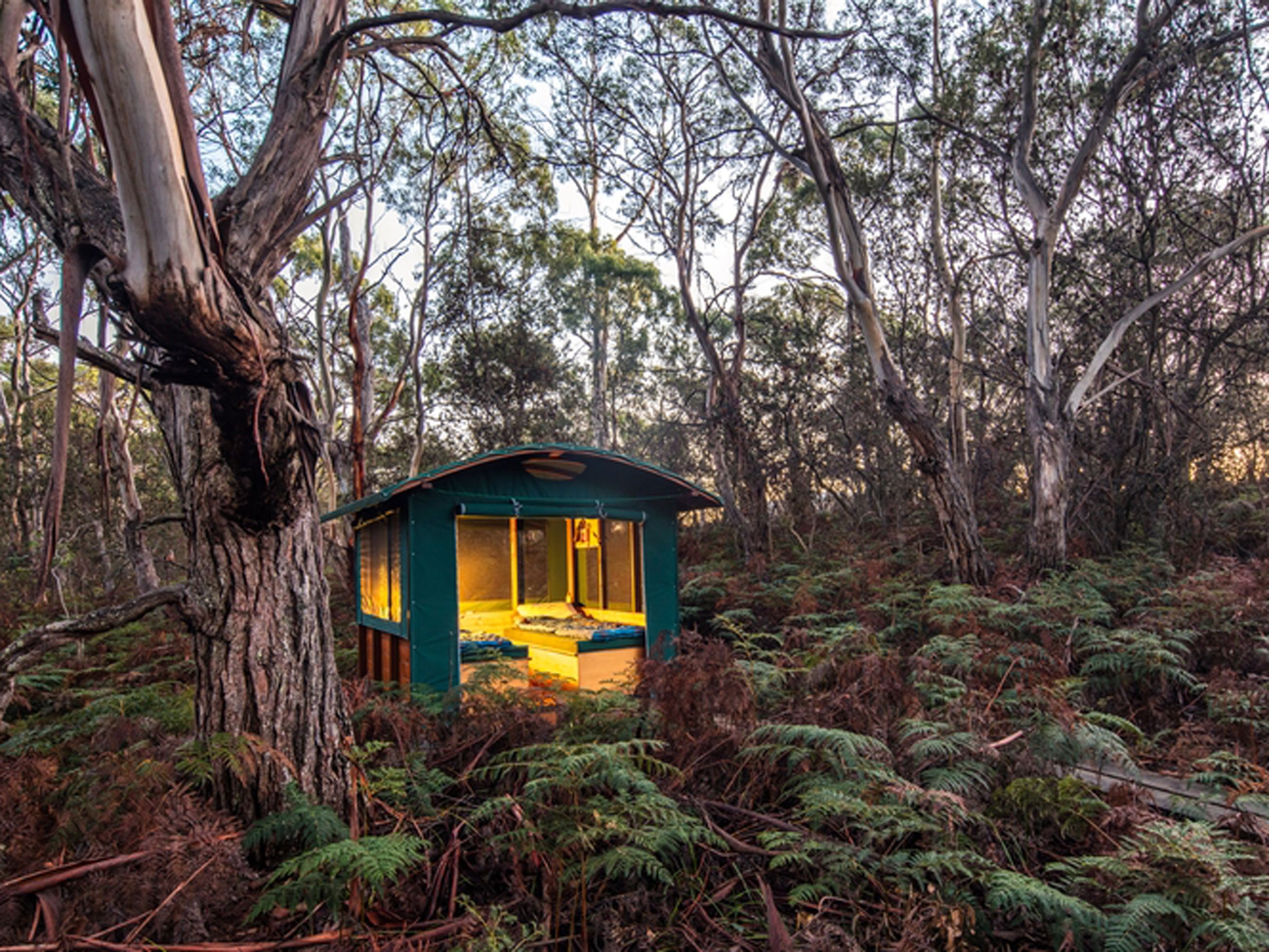 Casuarina Beach Camp on the Maria Island Walk, Tasmania
