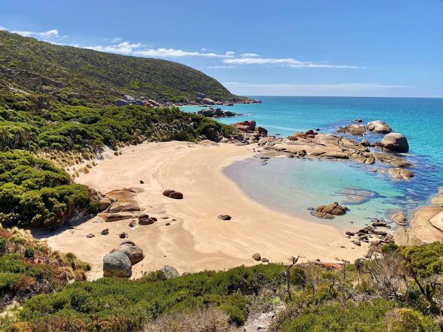 Three Hummock Island, Tasmania