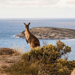weekends in South Australia