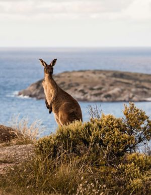 weekends in South Australia