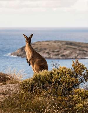 weekends in South Australia