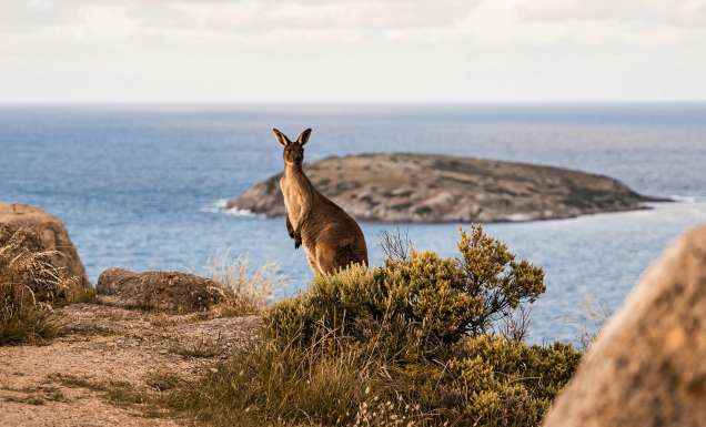 weekends in South Australia