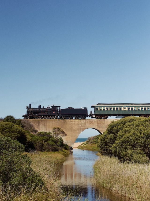 ride on the Cockle Train