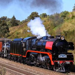 Kiama Picnic Train