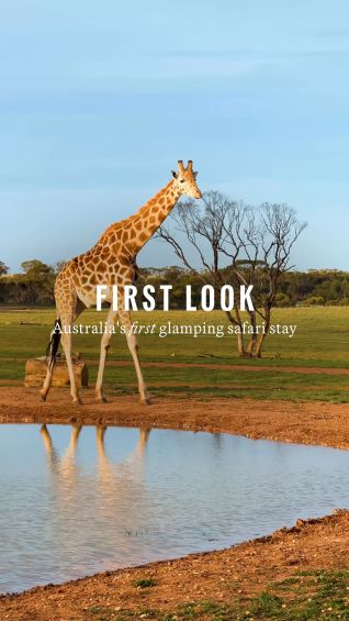 First look: Safari Lodge at Monarto Safari Resort